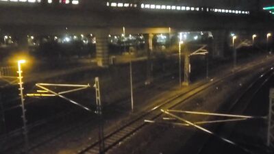 Raw Fuck Fest: Multiple PIGS Take On The Meat!