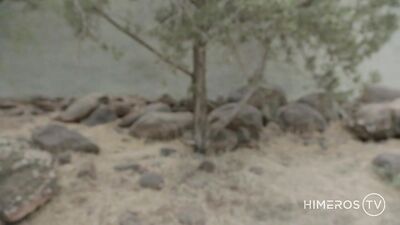 The Forest Rangers Secret Adventure: Two Lost Men and A Hand Job in the Woods