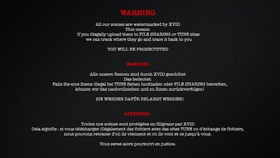 Young Stagiares Sodomy Lesson - Danny Jones and Pavel Masters