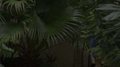 Cock-Sucker Services: Hotel Garden Blowjob and Cum Drainage