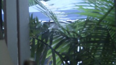 Gym Buddies Swap Jock Strokes: Sucking Cum and Muscle Men