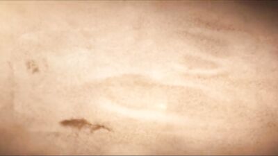 Unleashed and Dominated by a Bad Boys Cock - Sly Conan & Giorgio Angelo