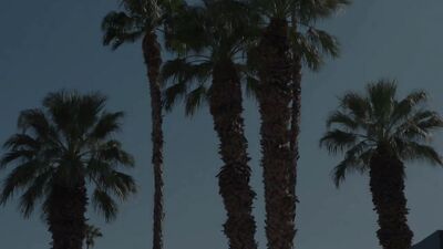 Deep Throat Desires - The Gay Porn Adventure