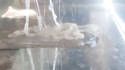 Russian guy powerfully ejaculates cum into water