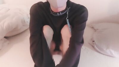 "Woof ♡ Woof ♡" estrus of a pet dog wearing a sweatshirt