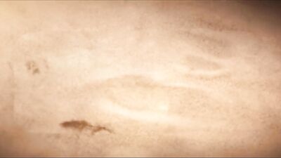 Seduced by the Feet - A Gay Porn Video featuring Zane Peters and Milo Hudson