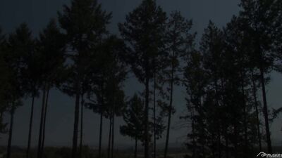 Falcon Studios Presents: Straight Guys Gone Wild! with Dylan Hauser and Connor Patricks