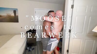 MOOSE arrive à la BEARWEEK