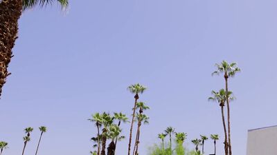 Pleasure and Pride: The Ultimate Gay Porn Experience