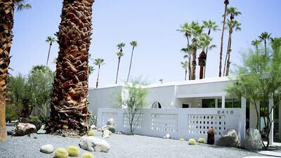 Daddys Licking and Sucking BBC Action with Adrian Hart, Cole Connor