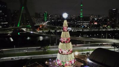 Happy New Butt: Brazilian Macho Deep Anal Sodomy Tatted Horse Brother Fucked