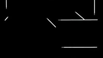 Wild Male: A Short Erotic Film About a Young Mans Journey Into the World of Gay Porn