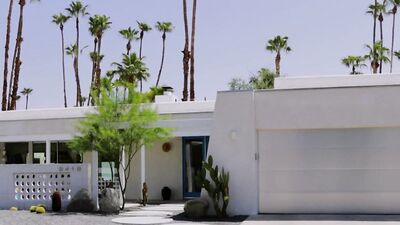 Stallions Dominance - Chris Damned and Jack Baileys HotHouse Wedding Night