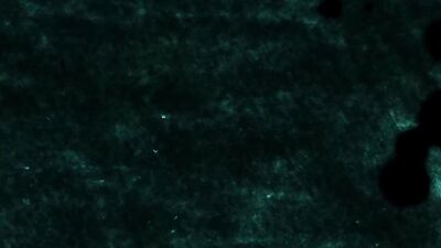 Gabriel and the Spanish Brunette: A Tale of Foot Worship