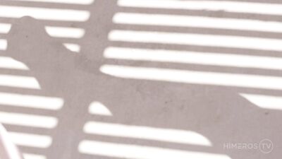 Underwear Thief: The Allure of Taboo