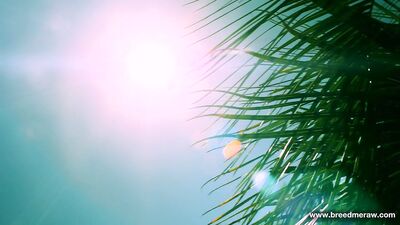 Ari Nucci et Grayson Lange (Bareback)