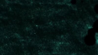 Sir Peter and Isaac Xs Double Penetration with Valentin Amour