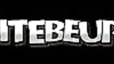 Unleashed and Untamed: Arab Stallion Gets Ready for Action!