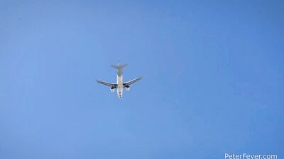 Beach Bumming With Travis and Hanry: An X-rated Brazilian Adventure Travis Yukarin and Eduardo Menzorras Naughty Beach Outing
