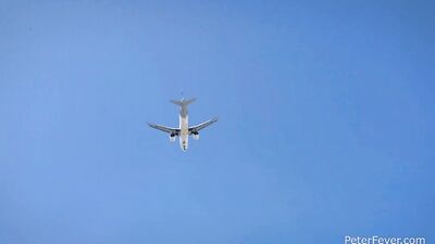 Beach Training et sexe musclé