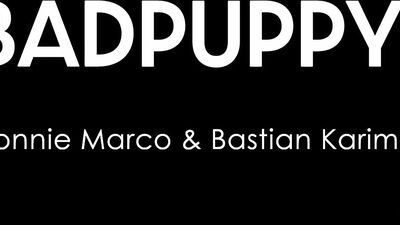 Stallion Donnie and Bastian: European Big Dicked Velvet Bottom