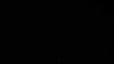 Raging Stallions Take On Hot House Bulldogs in Scrum, Balls to the Wall!