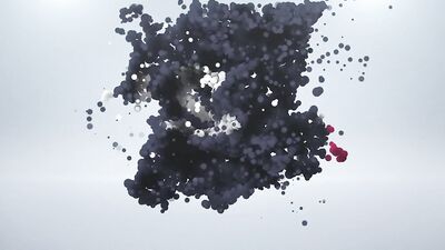 Fitness First: An Unexpected Encounter