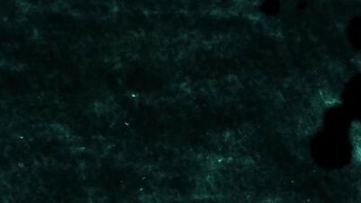 Foot Worship with Rico Marlon and Alex Gonzalez