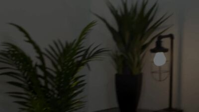 Double Duty - Stuffed and Cumming!