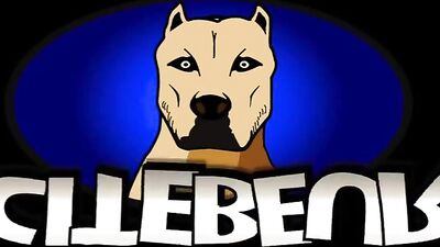 Arabic Moroccan Gay Boys Sexcapades - Gagged and Rough with French Twist