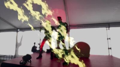 Public Masturbation: Exhibitionist Gay Porn Stars Show Off at Erotic Fair