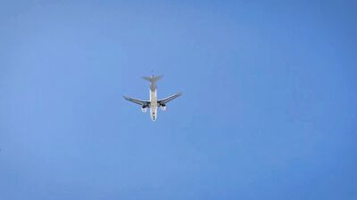 Brazilian Beach Bodies: Vacation Adventures