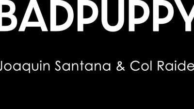 Golden Bulge: Colombian Stallions