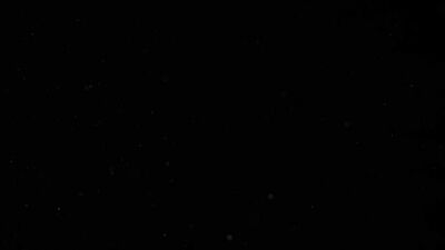 Big Game Players: Donovan and Ducatis Hothouse Romp!