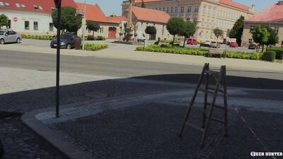 Czech Hunter - Wild Encounter