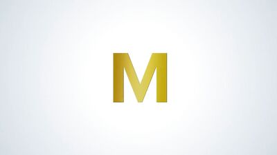 Plumbers Delight: A Blue Collar Muscle Bear and Suit Sex Adventure