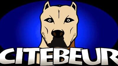 Rough Anal Sodomy: Painful Bottom Bangs - Hard-Core Bearded Arabic Passive Guy Sucks Dick to the Max!