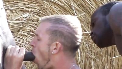 Double French Fucking with Two Huge Cocks in the Field - Cruising