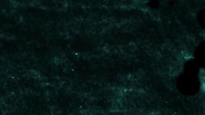 Double Penetration - Rico Marlon, Paco Rabo and Valentin Amours Anal Threesome