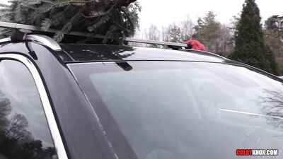 Holiday Heat: Drake Vons Naughty Christmas Tree