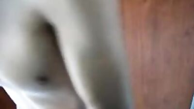 Gay Porn: Anal Sodomy in the School Toilets - A Beurs Descent into Depravity