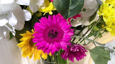 Badass Bottoms: Rhyheims Gay Porn Flip-Flop Fuck Fest!