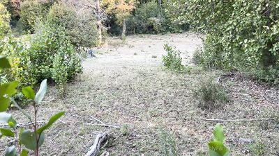 Natural Encounters: Amateur Gay Cruising in the Wild