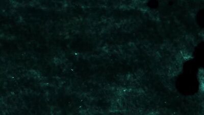 Gay Cocks and Anal Toys - The Ultimate Cuckolding Experience!