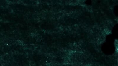 Sexy feet - Sir Peter, Jeffrey Lloyd, Pol Prince