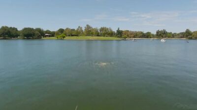 Home for the Holidays: A Gay Porn Video