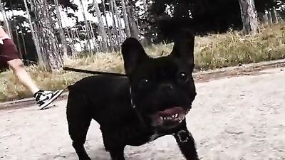 Gangbanged by Roughnecks in the Parisian Suburbs - French Threesome with a Charming Casquette and Anal Stretching