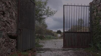 Agriculteurs chauds du cul: Martin Mazza & Antonio Miracle