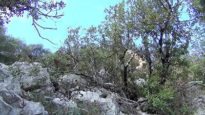Appreciating the View: Fabian Taps His Own Cock While Hiking in Nature