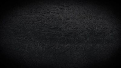 Gay Porn Scandal: Billy Santoro and Alex Hawks Forbidden Affair